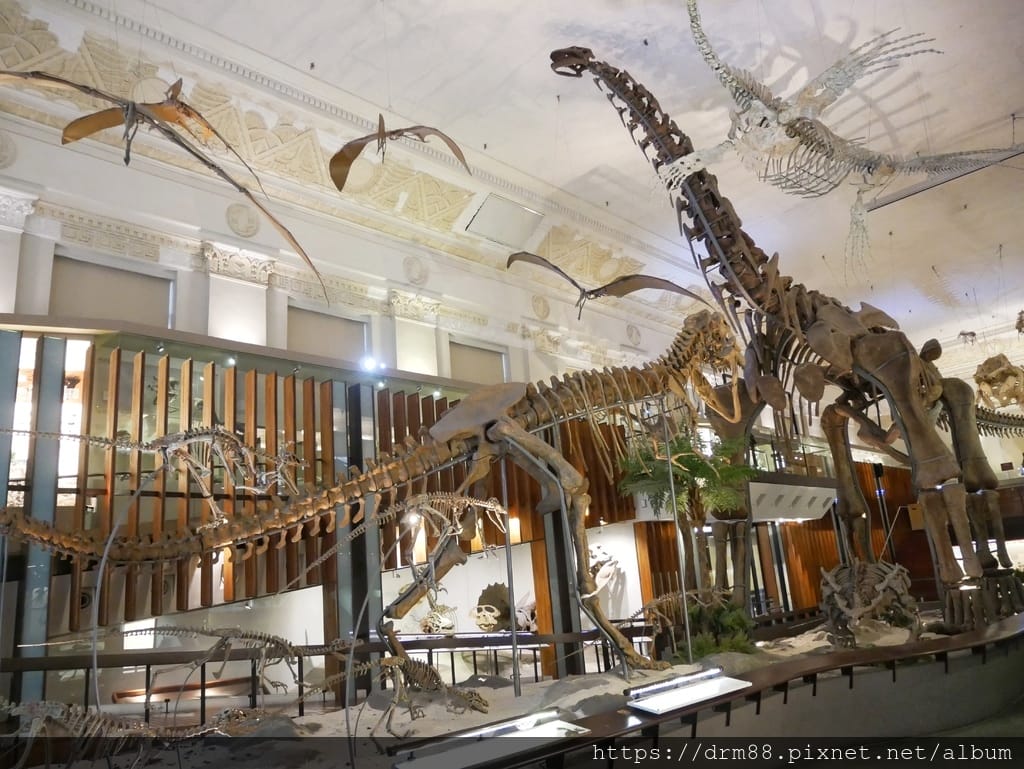 台北一日遊,土銀展示館-國立臺灣博物館,228公園對面,台大醫院站景點,親子景點雨天備案,時間,交通＠瑪姬幸福過日子