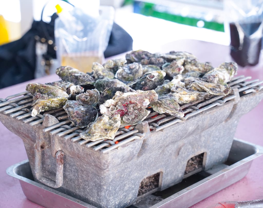 澎湖海洋牧場，澎湖搭船半日遊，鮮蚵吃到飽，海上BBQ，夜釣小管