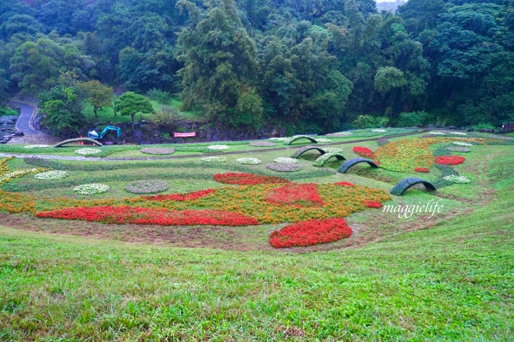 台北內湖一日遊｜內湖大溝溪親水公園步道花海已經開始了，免費景點，放假親子踏青郊遊野餐，可賞蝶，內湖縱走！
