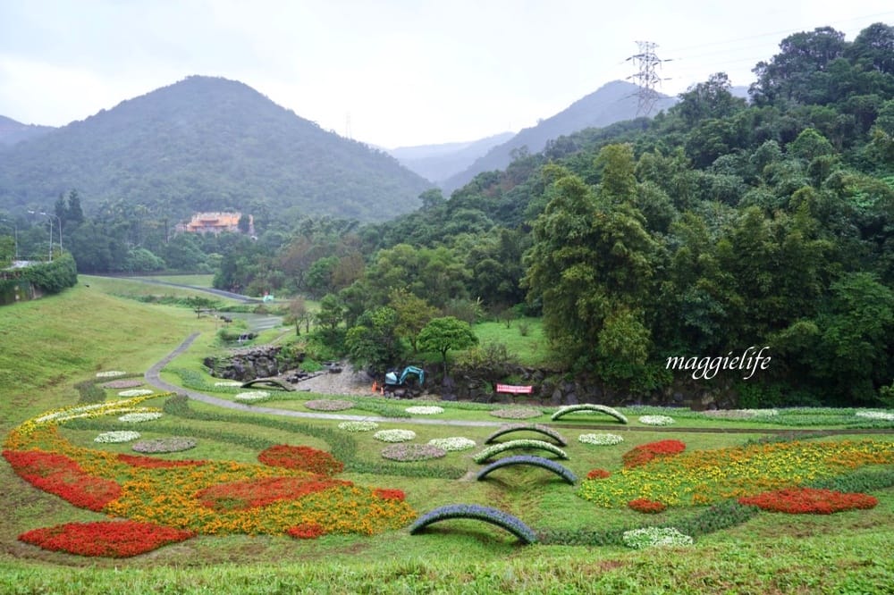 台北內湖一日遊｜內湖大溝溪親水公園步道花海已經開始了，免費景點，放假親子踏青郊遊野餐，可賞蝶，內湖縱走！
