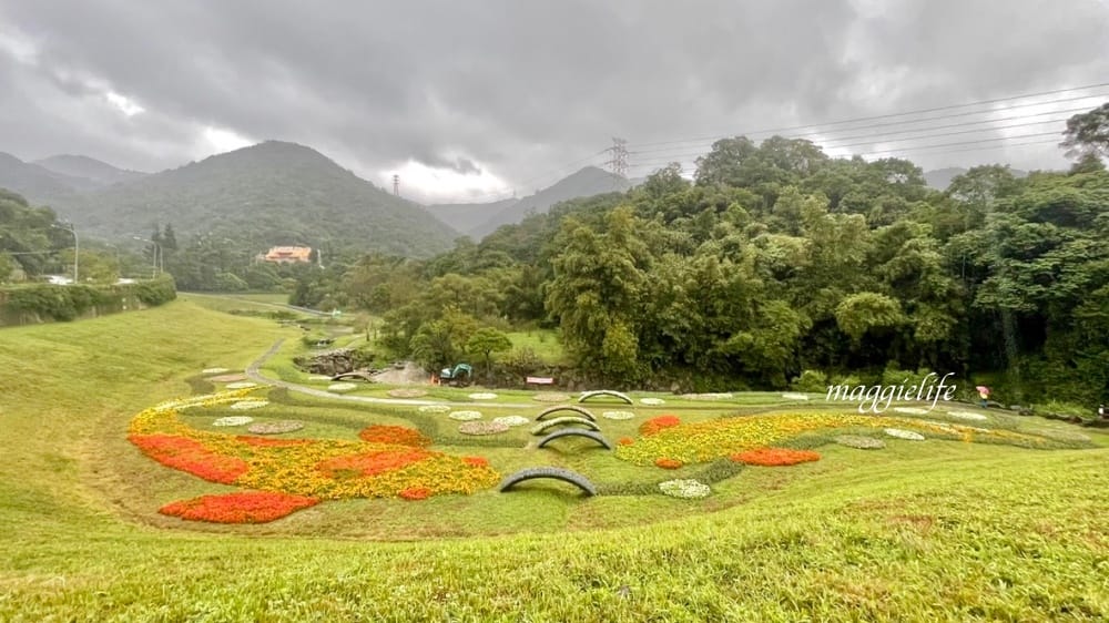 台北內湖一日遊｜內湖大溝溪親水公園步道花海已經開始了，免費景點，放假親子踏青郊遊野餐，可賞蝶，內湖縱走！