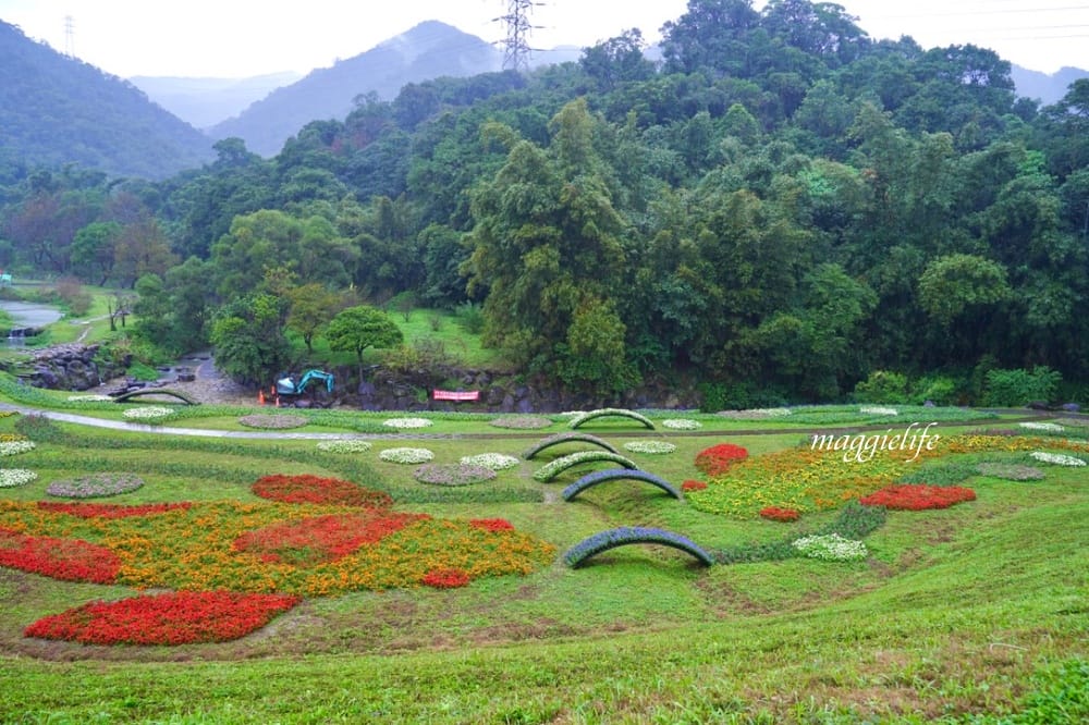 台北內湖一日遊｜內湖大溝溪親水公園步道花海已經開始了，免費景點，放假親子踏青郊遊野餐，可賞蝶，內湖縱走！
