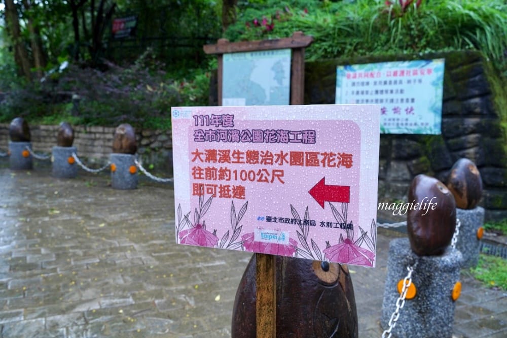 台北內湖一日遊｜內湖大溝溪親水公園步道花海已經開始了，免費景點，放假親子踏青郊遊野餐，可賞蝶，內湖縱走！