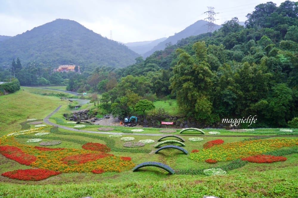 台北內湖一日遊｜內湖大溝溪親水公園步道花海已經開始了，免費景點，放假親子踏青郊遊野餐，可賞蝶，內湖縱走！