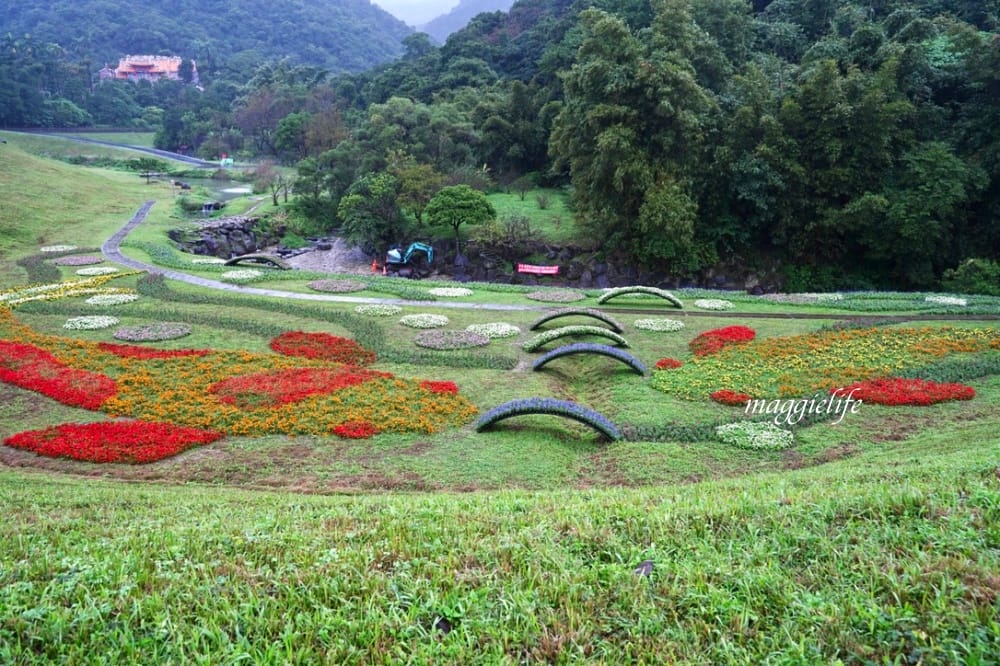 台北內湖一日遊｜內湖大溝溪親水公園步道花海已經開始了，免費景點，放假親子踏青郊遊野餐，可賞蝶，內湖縱走！