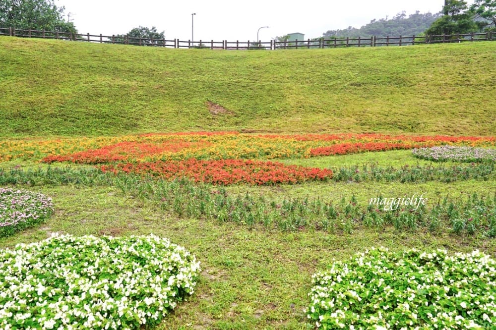 台北內湖一日遊｜內湖大溝溪親水公園步道花海已經開始了，免費景點，放假親子踏青郊遊野餐，可賞蝶，內湖縱走！