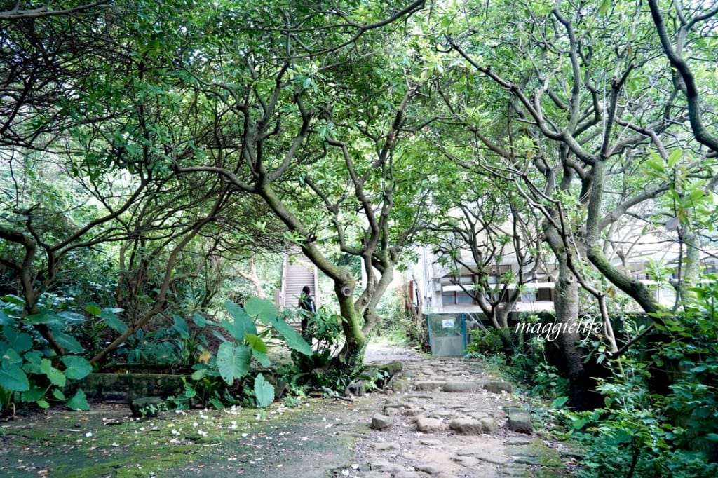 南子吝步道，新北瑞芳超美海景步道，360度海景美到令人陶醉