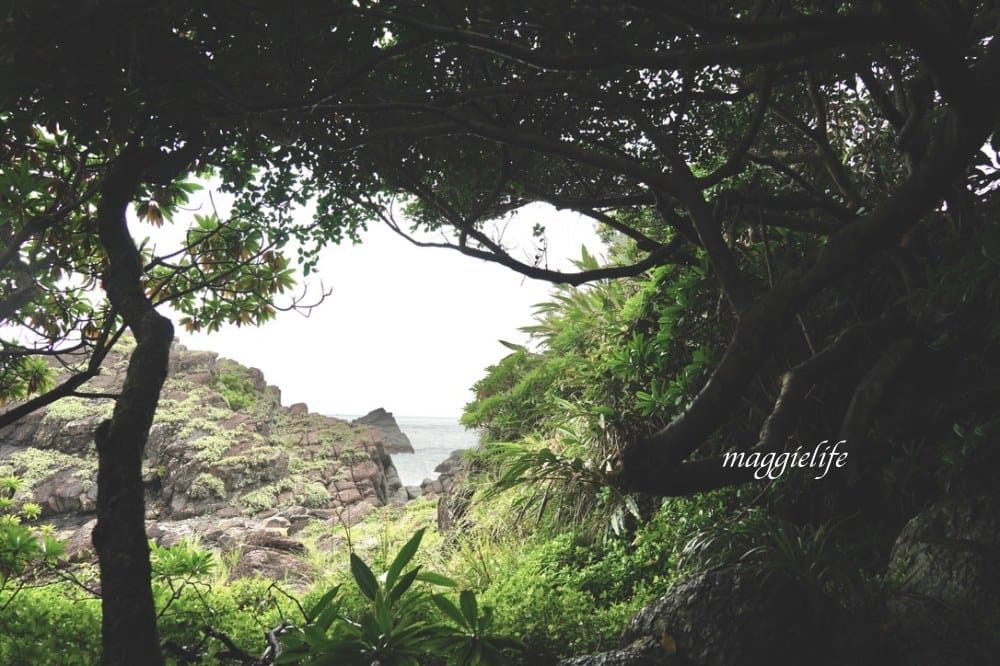 宜蘭頭城免費景點，北關海潮公園，礁岩海岸步道私房秘境，一線天，蘭陽八景，遠眺龜山島海天一線！