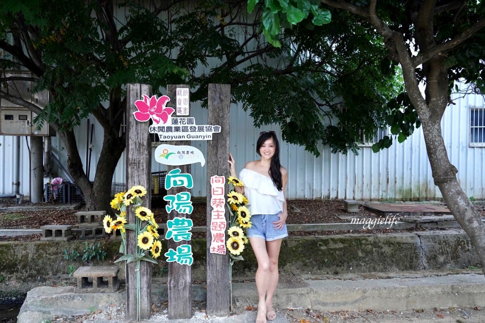 【桃園觀音景點】向陽農場門票，超美的向日葵花季，購票方式折抵免費，IG打卡景點怎麼拍最美。