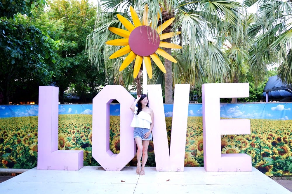 【桃園觀音景點】向陽農場門票，超美的向日葵花季，購票方式折抵免費，IG打卡景點怎麼拍最美。