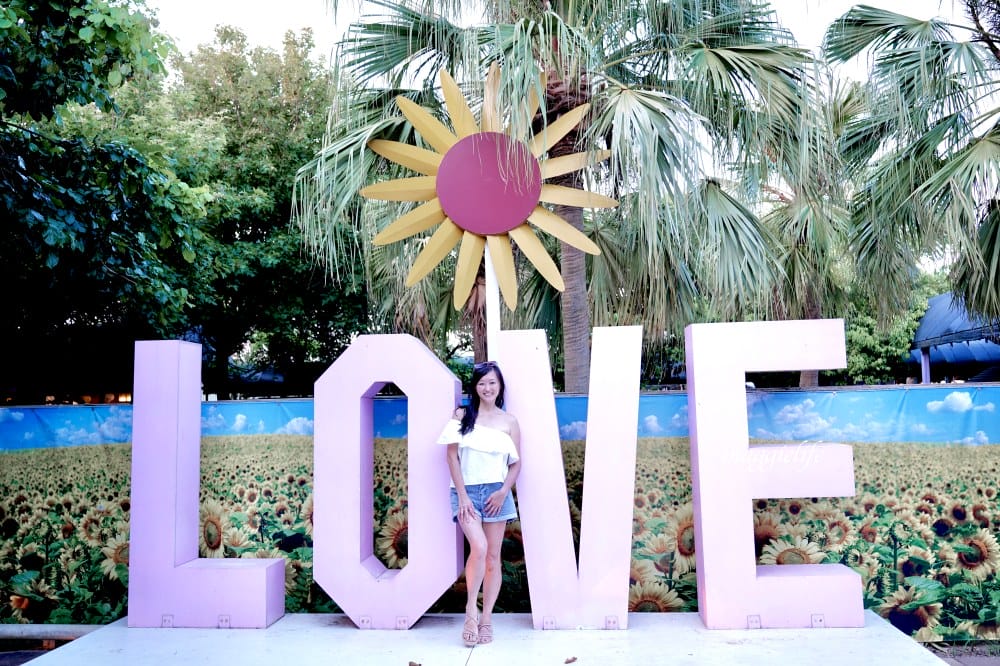 【桃園觀音景點】向陽農場門票，超美的向日葵花季，購票方式折抵免費，IG打卡景點怎麼拍最美。