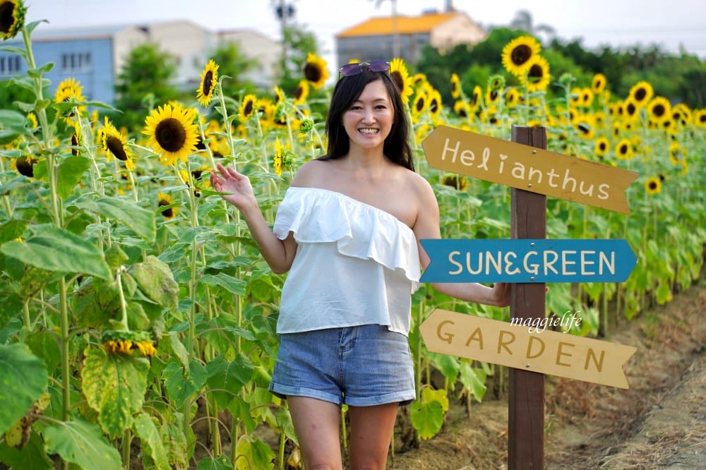 【桃園觀音景點】向陽農場門票，超美的向日葵花季，購票方式折抵免費，IG打卡景點怎麼拍最美。