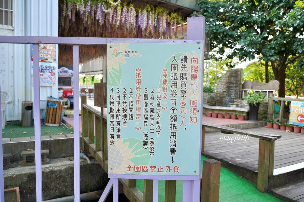 【桃園觀音景點】向陽農場門票，超美的向日葵花季，購票方式折抵免費，IG打卡景點怎麼拍最美。