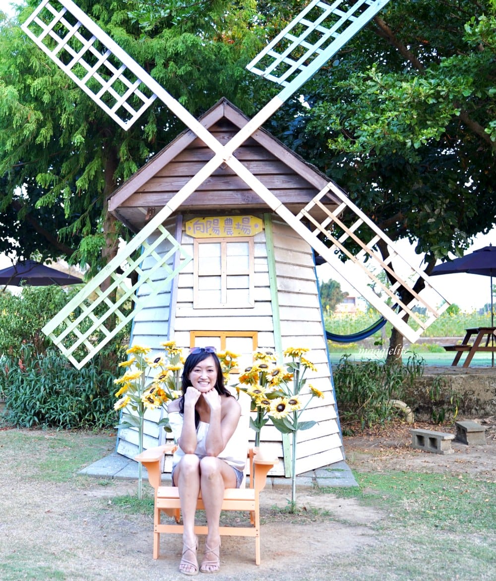 【桃園觀音景點】向陽農場門票，超美的向日葵花季，購票方式折抵免費，IG打卡景點怎麼拍最美。