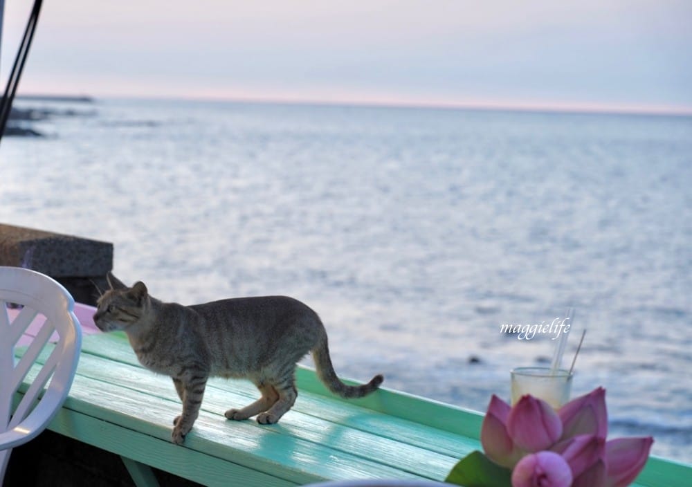 新北石門｜海堤咖啡，北海岸無敵海景咖啡廳，峇里島彩色小木屋，營業到半夜11點！