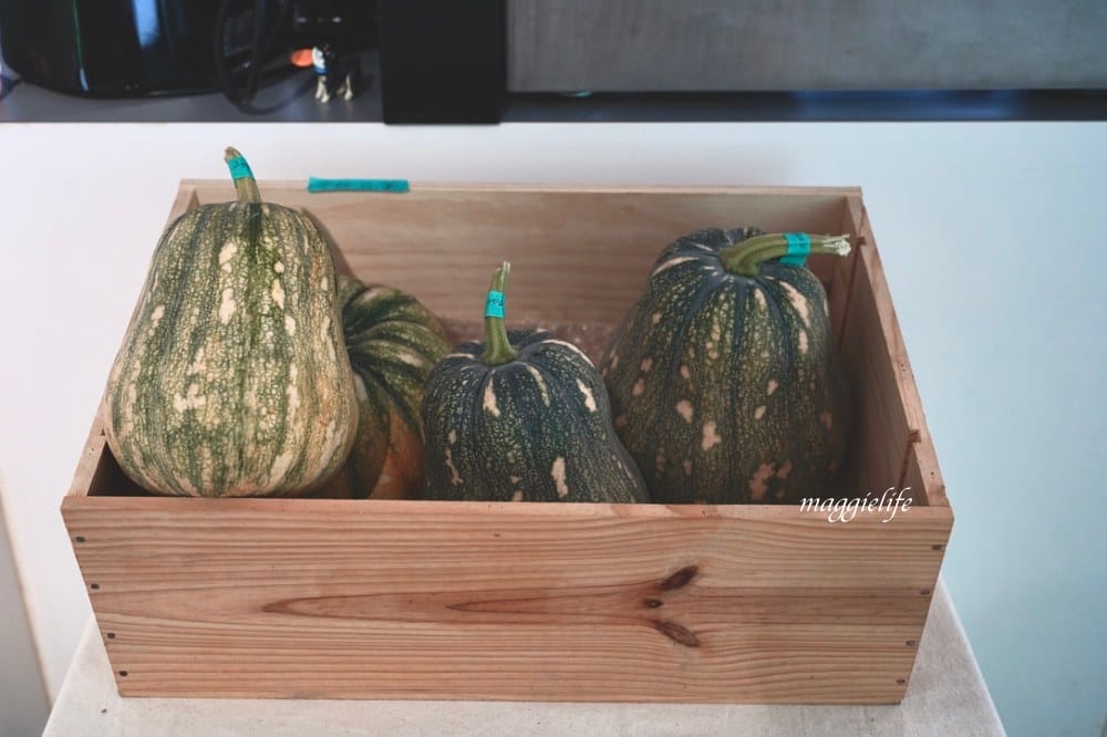 新北石門|白日夢Tea & Cafe,石門廢棄國小裡的無敵海景咖啡廳,彩色馬卡龍課桌椅重溫兒時舊夢! - 第33張圖 新北石門|白日夢Tea & Cafe,石門廢棄國小裡的無敵海景咖啡廳,彩色馬卡龍課桌椅重溫兒時舊夢!