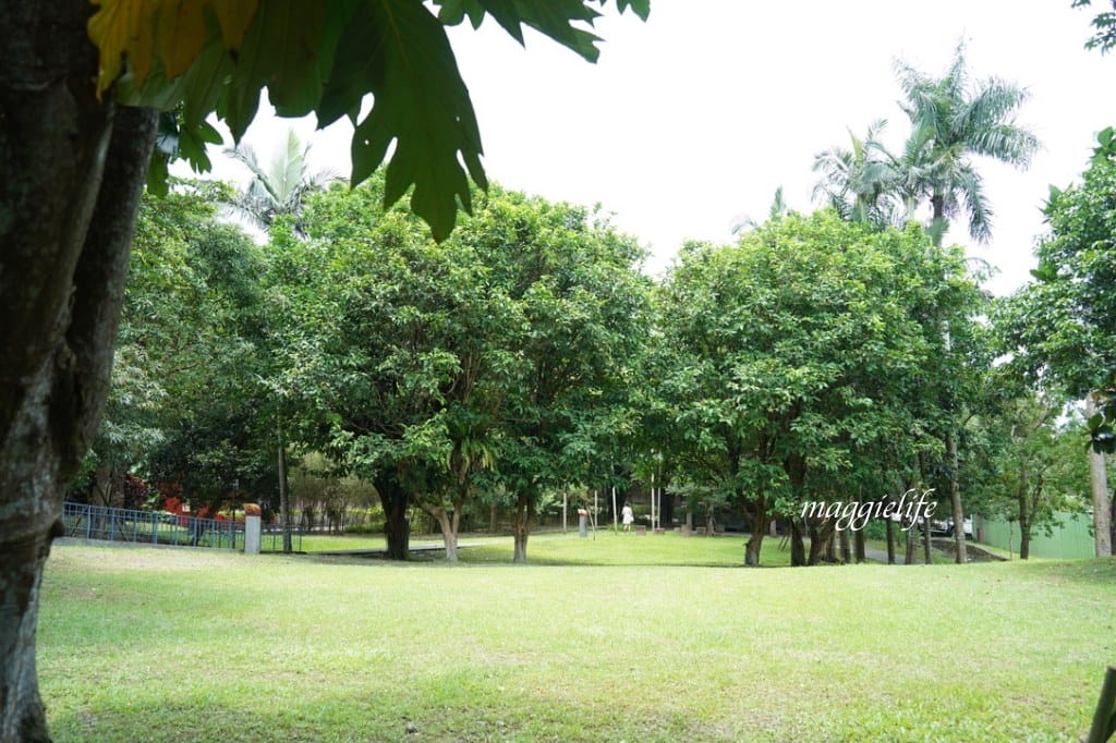 【宜蘭免費景點】礁溪轉運站幾米兔子裝置藝術，毛毛兔超級可愛的，一路通道礁溪溫公園！