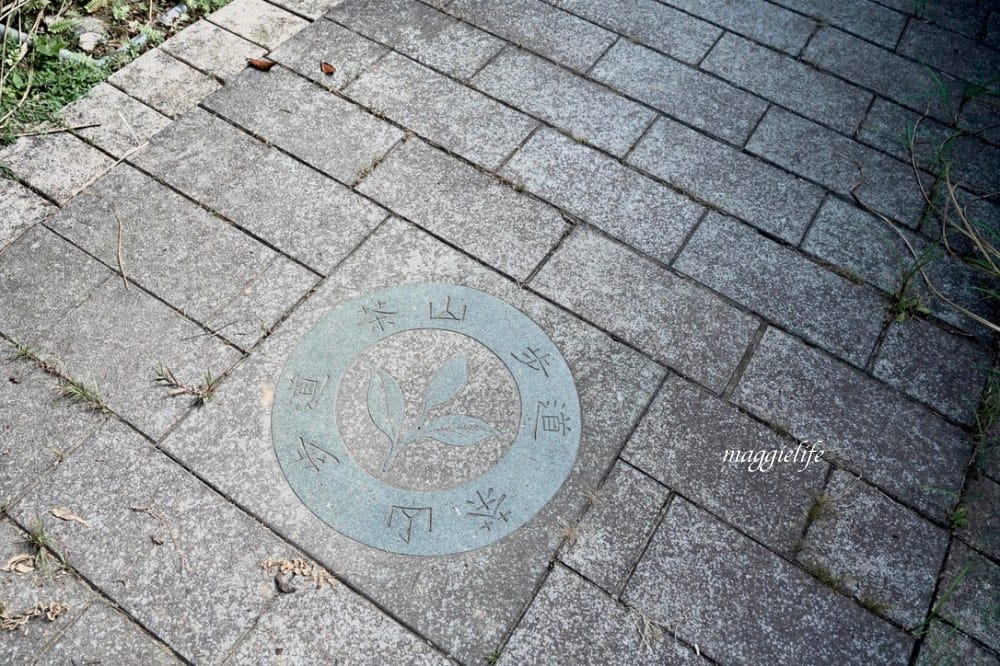 【新北石門】茶山步道，北海岸茶園秘境，坐擁山景海景，層層梯田茶園，龍貓隧道竹林，石門的世外桃源！