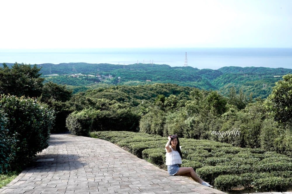 【新北石門】茶山步道，北海岸茶園秘境，坐擁山景海景，層層梯田茶園，龍貓隧道竹林，石門的世外桃源！