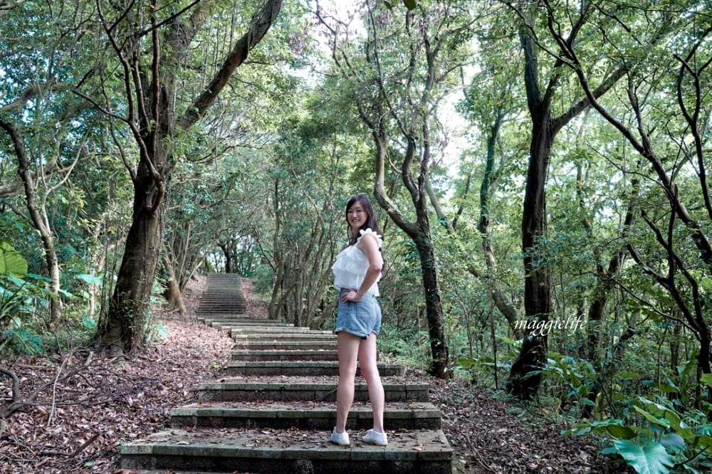 【新北石門】茶山步道，北海岸茶園秘境，坐擁山景海景，層層梯田茶園，龍貓隧道竹林，石門的世外桃源！