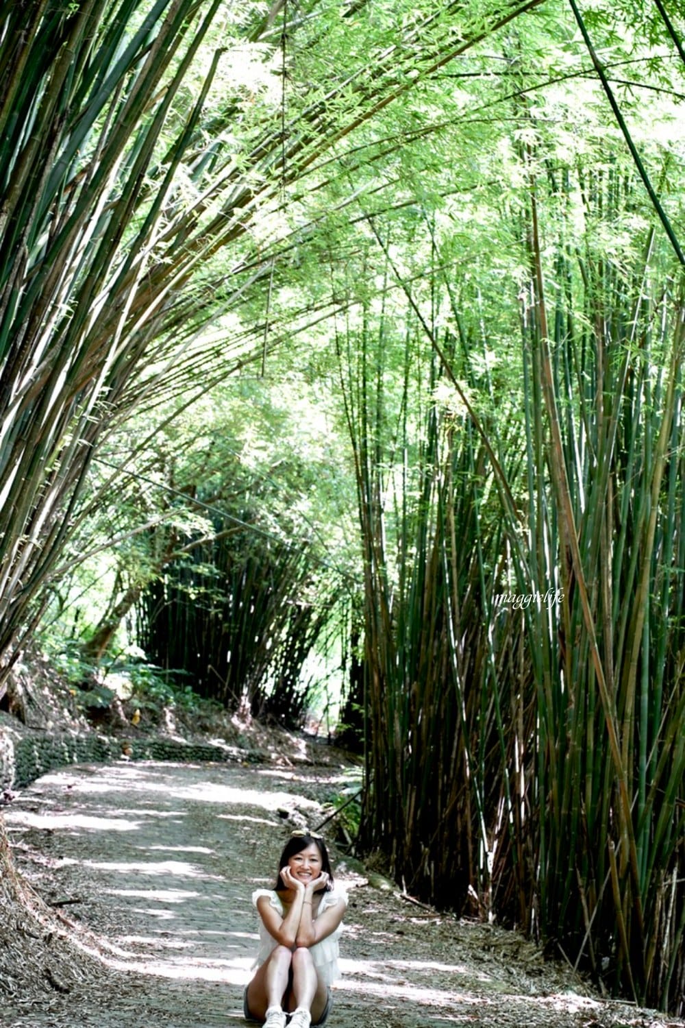【新北石門】茶山步道，北海岸茶園秘境，坐擁山景海景，層層梯田茶園，龍貓隧道竹林，石門的世外桃源！
