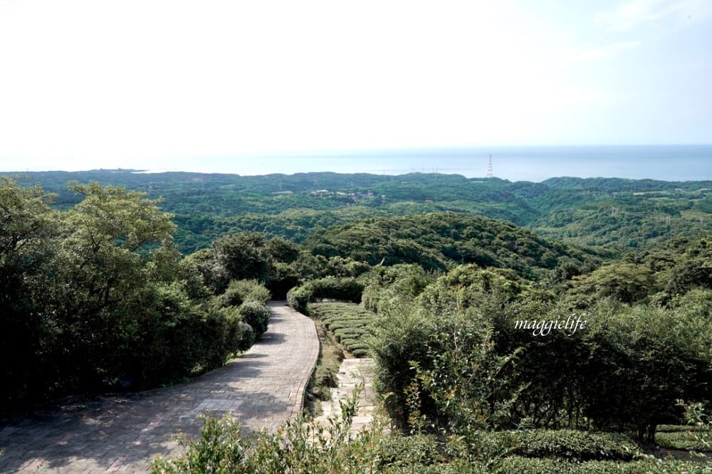 【新北石門】茶山步道，北海岸茶園秘境，坐擁山景海景，層層梯田茶園，龍貓隧道竹林，石門的世外桃源！