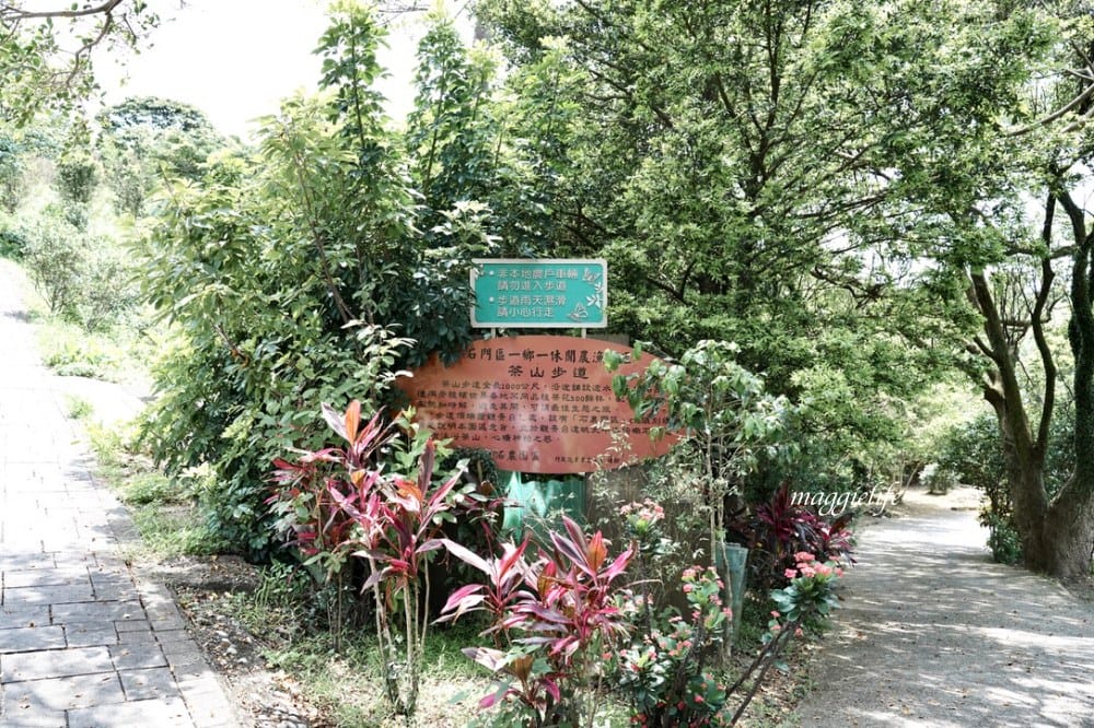 【新北石門】茶山步道，北海岸茶園秘境，坐擁山景海景，層層梯田茶園，龍貓隧道竹林，石門的世外桃源！