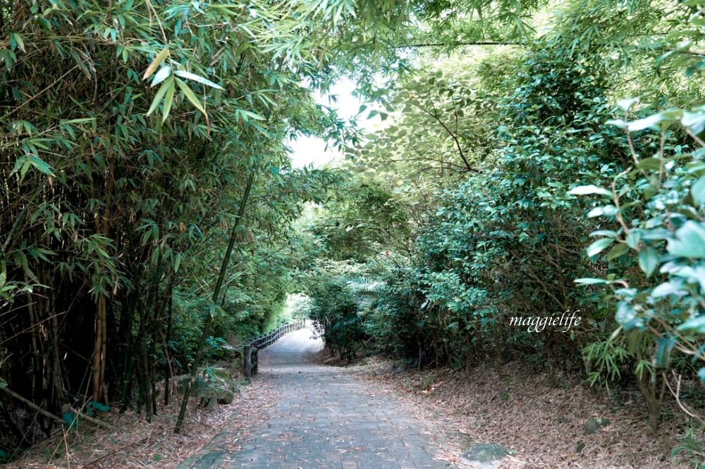 【新北石門】茶山步道，北海岸茶園秘境，坐擁山景海景，層層梯田茶園，龍貓隧道竹林，石門的世外桃源！