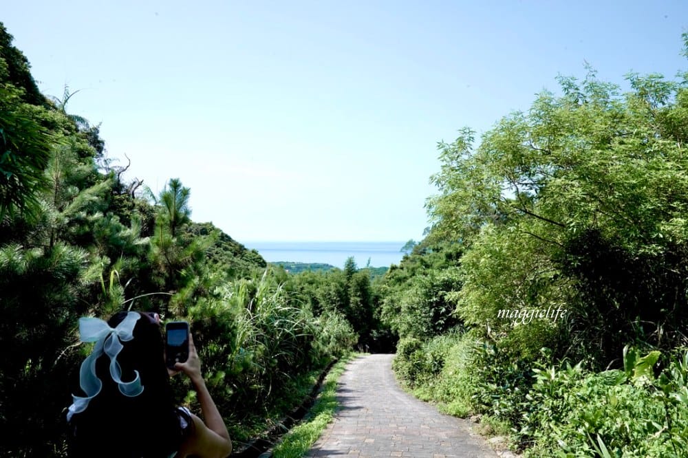 【新北石門】茶山步道，北海岸茶園秘境，坐擁山景海景，層層梯田茶園，龍貓隧道竹林，石門的世外桃源！