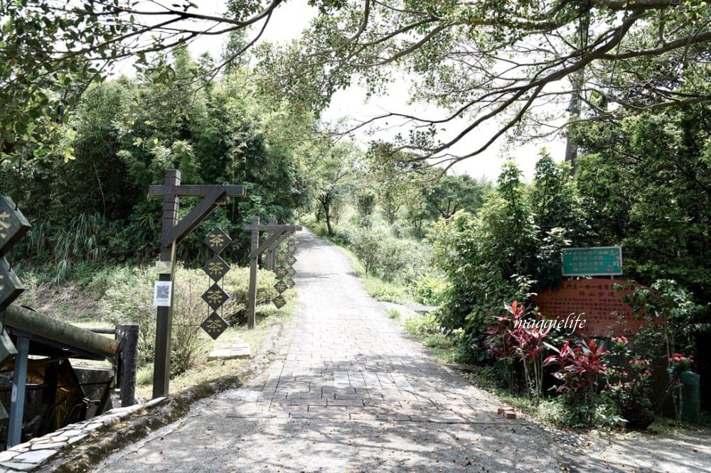 【新北石門】茶山步道，北海岸茶園秘境，坐擁山景海景，層層梯田茶園，龍貓隧道竹林，石門的世外桃源！