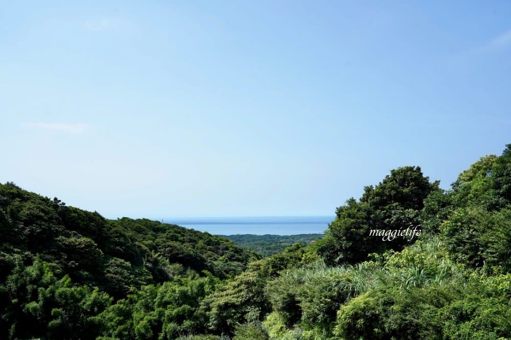 【新北石門】茶山步道，北海岸茶園秘境，坐擁山景海景，層層梯田茶園，龍貓隧道竹林，石門的世外桃源！