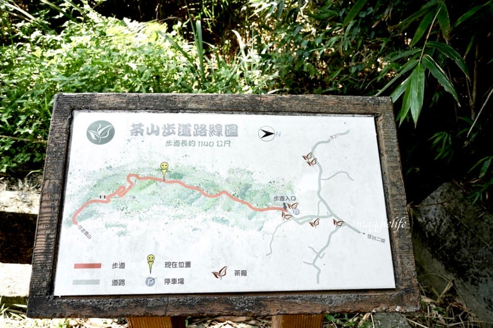 【新北石門】茶山步道，北海岸茶園秘境，坐擁山景海景，層層梯田茶園，龍貓隧道竹林，石門的世外桃源！