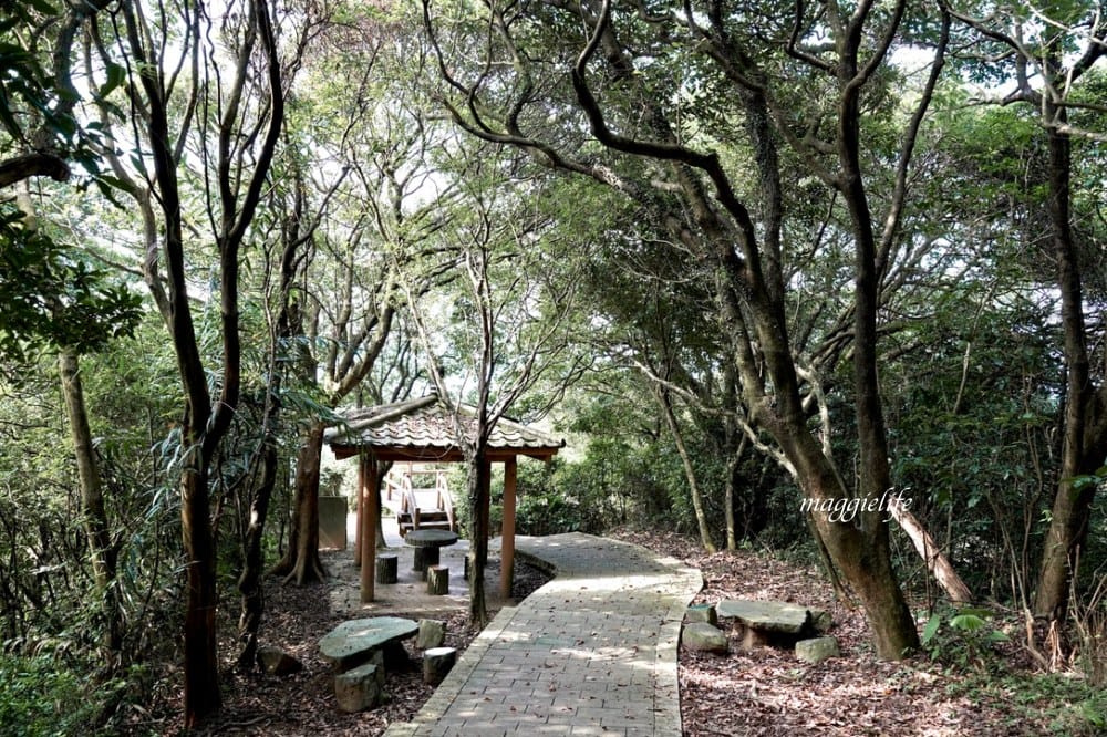 【新北石門】茶山步道，北海岸茶園秘境，坐擁山景海景，層層梯田茶園，龍貓隧道竹林，石門的世外桃源！