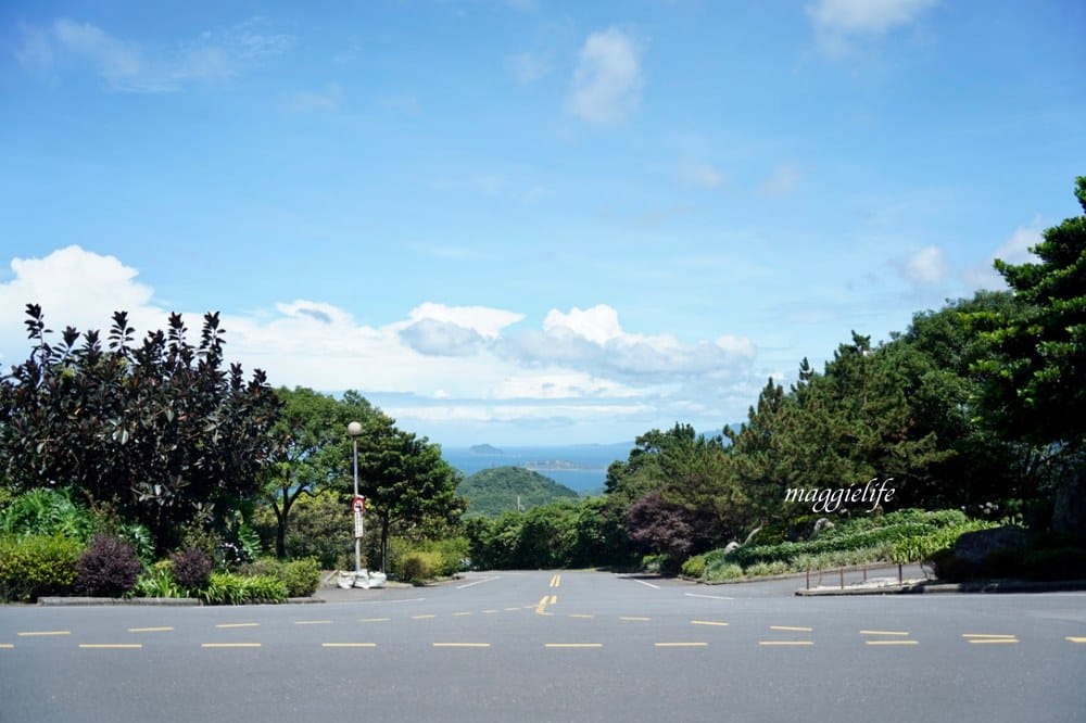 【新北石門】茶山步道，北海岸茶園秘境，坐擁山景海景，層層梯田茶園，龍貓隧道竹林，石門的世外桃源！