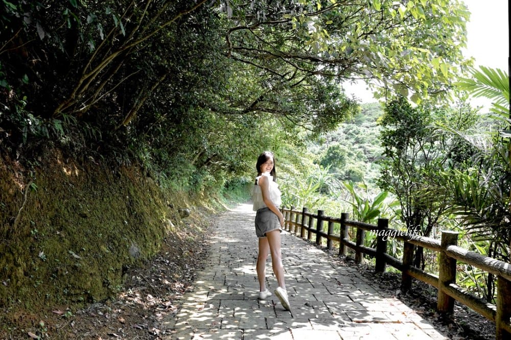 【新北石門】茶山步道，北海岸茶園秘境，坐擁山景海景，層層梯田茶園，龍貓隧道竹林，石門的世外桃源！