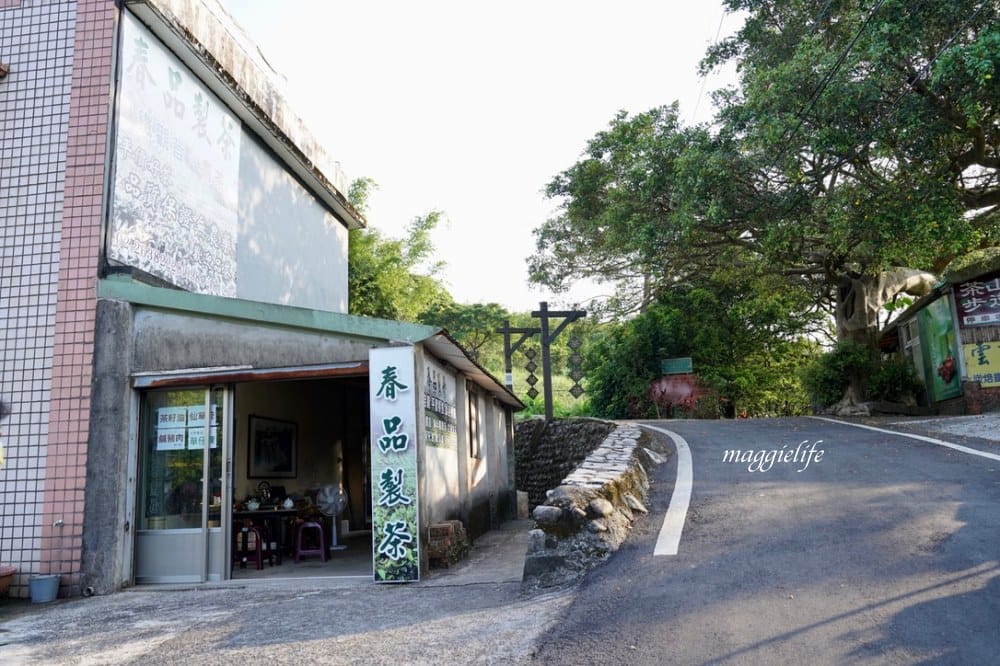【新北石門】茶山步道，北海岸茶園秘境，坐擁山景海景，層層梯田茶園，龍貓隧道竹林，石門的世外桃源！