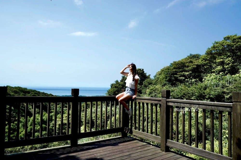 【新北石門】茶山步道，北海岸茶園秘境，坐擁山景海景，層層梯田茶園，龍貓隧道竹林，石門的世外桃源！