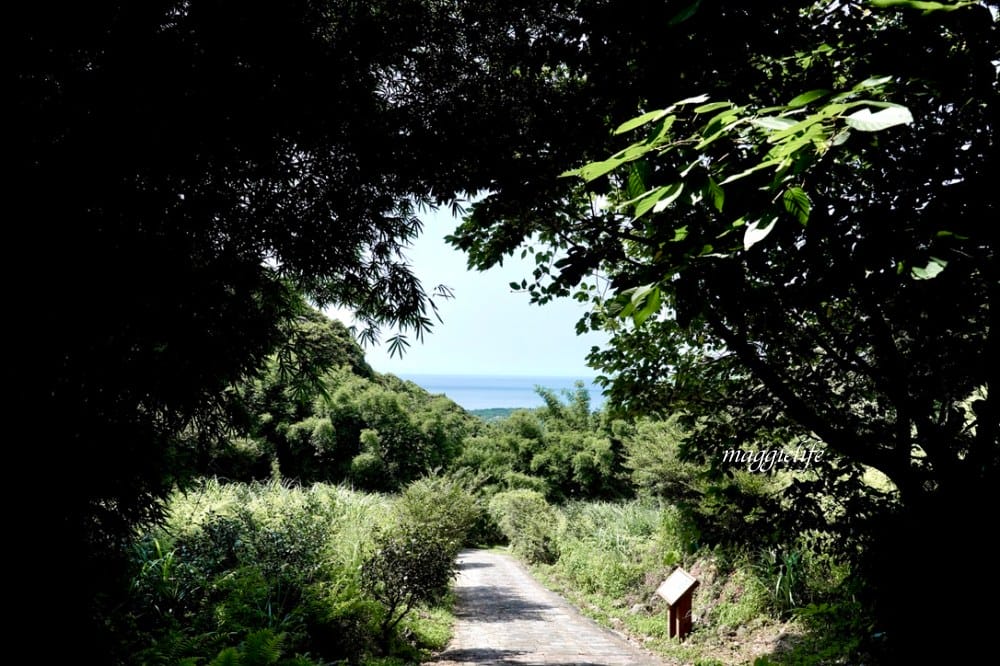 【新北石門】茶山步道，北海岸茶園秘境，坐擁山景海景，層層梯田茶園，龍貓隧道竹林，石門的世外桃源！