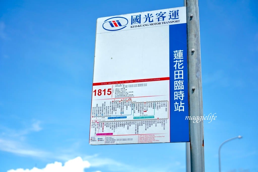 【新北金山景點】清水濕地牡丹蓮花田，新北金山私房免費景點大公開！充滿仙氣的蓮花田爆炸美！