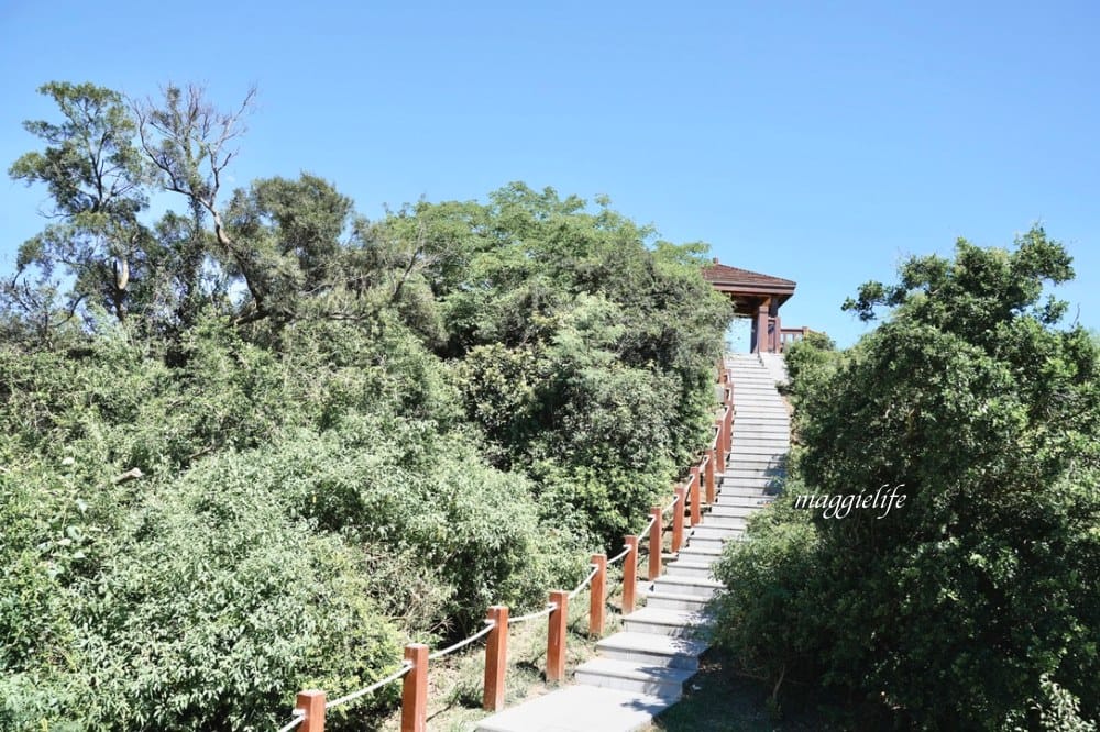 金門景點|珠山聚落,珠山公園金門最大的閩式建築群,一分鐘到山頂登高拍美照,IG打卡熱門景點! - 第24張圖 金門景點|珠山聚落,珠山公園金門最大的閩式建築群,一分鐘到山頂登高拍美照,IG打卡熱門景點!