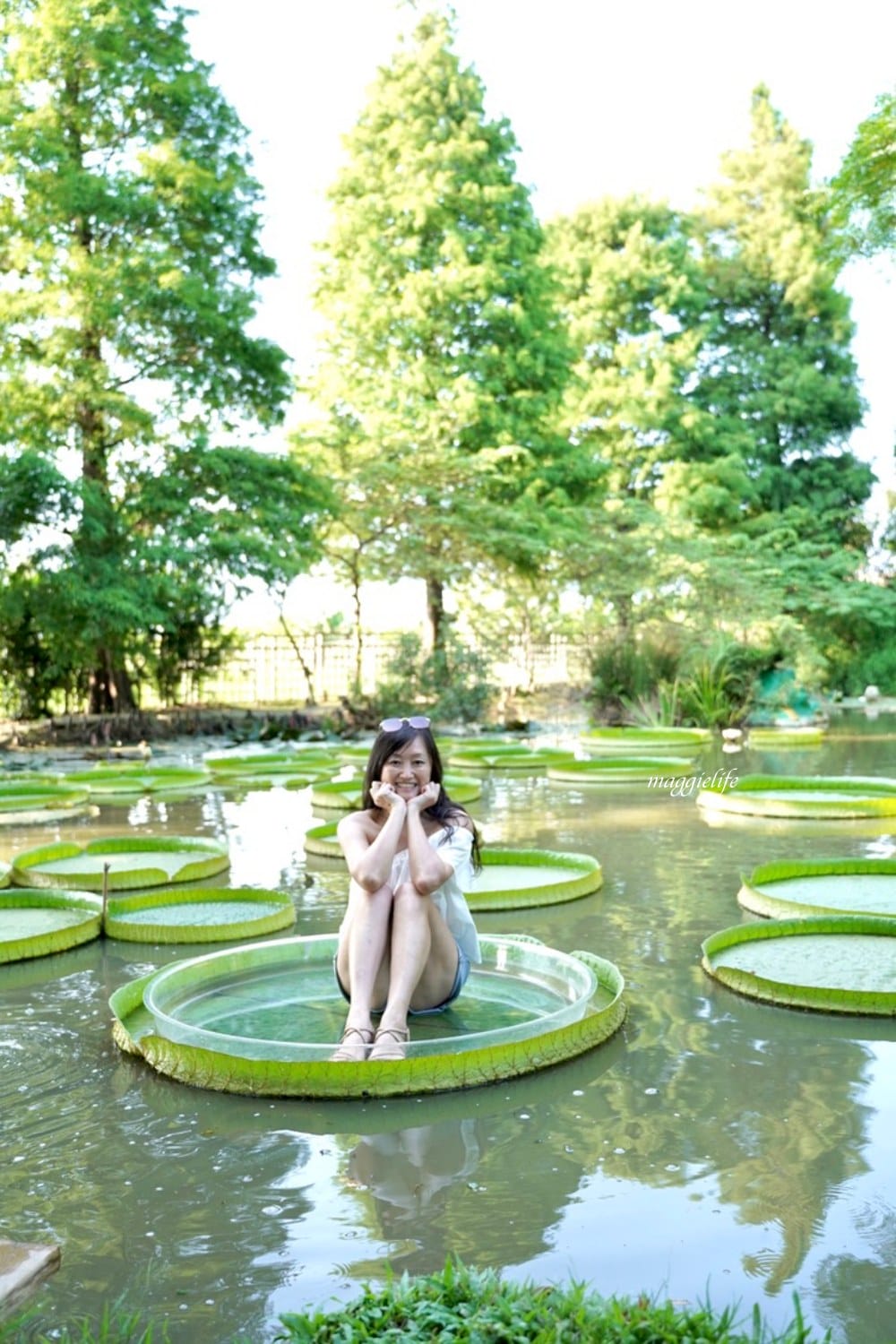 桃園觀音景點，蓮荷園休閒農場，賞蓮花坐大王蓮當拇指公主，盪鞦韆，搭小木船超多美拍場景，還可以吃蓮子冰！