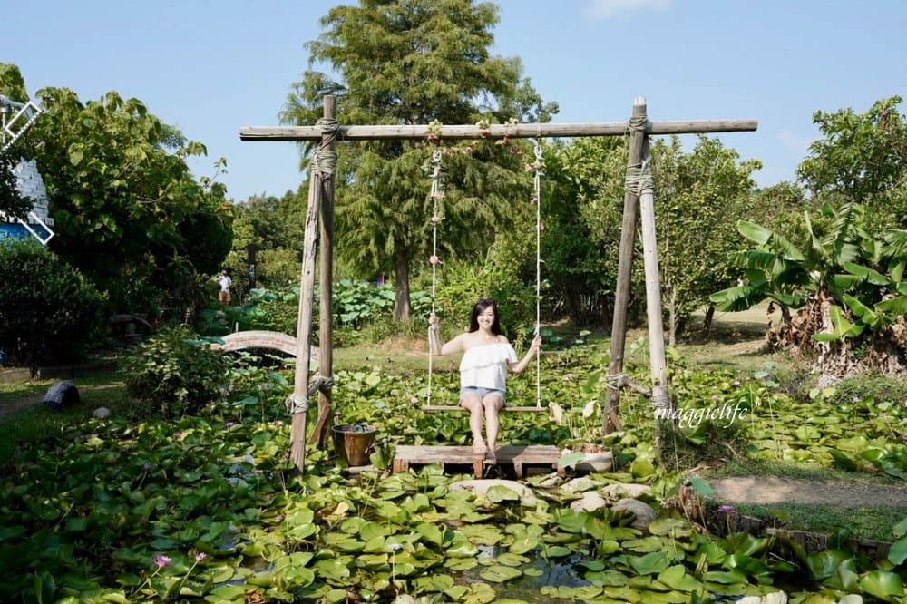桃園觀音景點，蓮荷園休閒農場，賞蓮花坐大王蓮當拇指公主，盪鞦韆，搭小木船超多美拍場景，還可以吃蓮子冰！