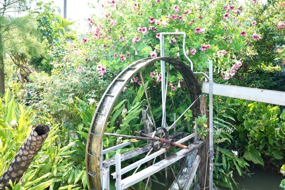 桃園觀音景點，蓮荷園休閒農場，賞蓮花坐大王蓮當拇指公主，盪鞦韆，搭小木船超多美拍場景，還可以吃蓮子冰！