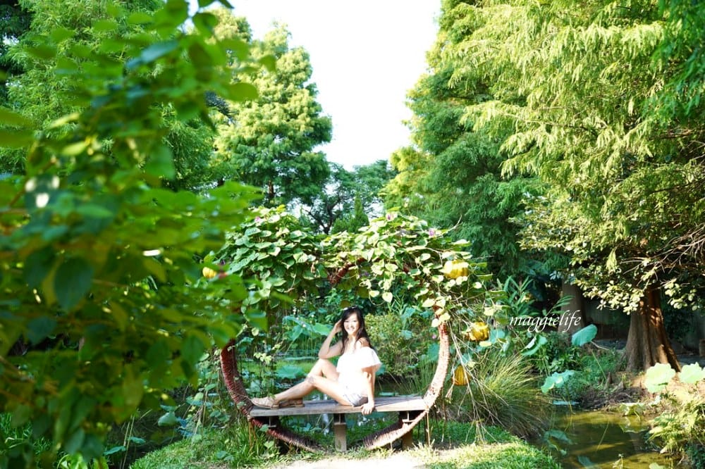 桃園觀音景點，蓮荷園休閒農場，賞蓮花坐大王蓮當拇指公主，盪鞦韆，搭小木船超多美拍場景，還可以吃蓮子冰！