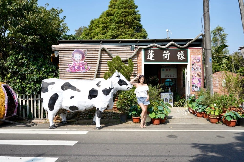 桃園觀音景點，蓮荷園休閒農場，賞蓮花坐大王蓮當拇指公主，盪鞦韆，搭小木船超多美拍場景，還可以吃蓮子冰！