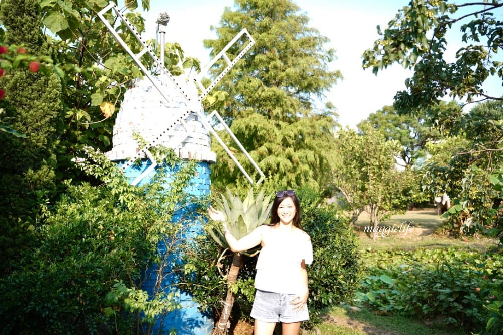 桃園觀音景點，蓮荷園休閒農場，賞蓮花坐大王蓮當拇指公主，盪鞦韆，搭小木船超多美拍場景，還可以吃蓮子冰！