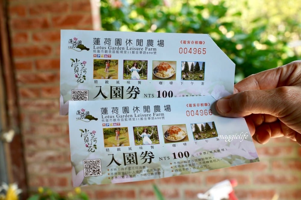 桃園觀音景點，蓮荷園休閒農場，賞蓮花坐大王蓮當拇指公主，盪鞦韆，搭小木船超多美拍場景，還可以吃蓮子冰！