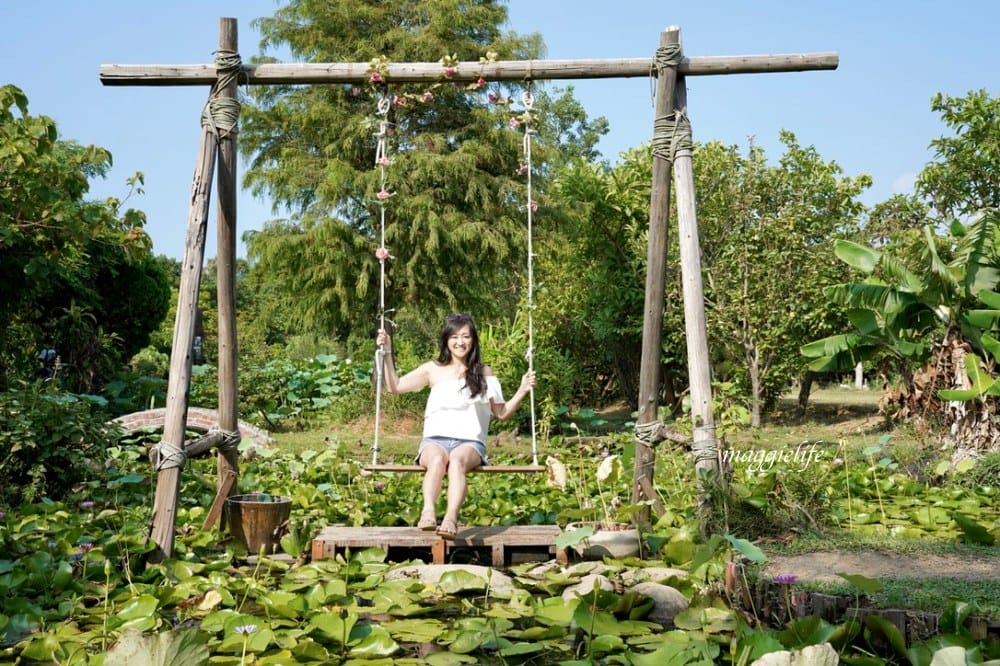桃園觀音景點，蓮荷園休閒農場，賞蓮花坐大王蓮當拇指公主，盪鞦韆，搭小木船超多美拍場景，還可以吃蓮子冰！