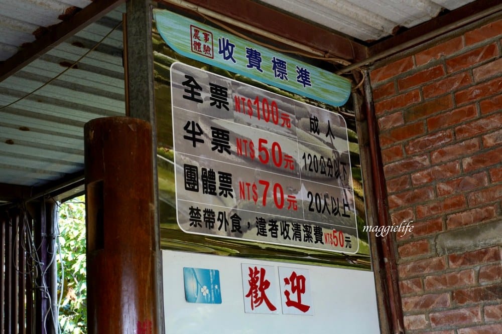 桃園觀音景點，蓮荷園休閒農場，賞蓮花坐大王蓮當拇指公主，盪鞦韆，搭小木船超多美拍場景，還可以吃蓮子冰！