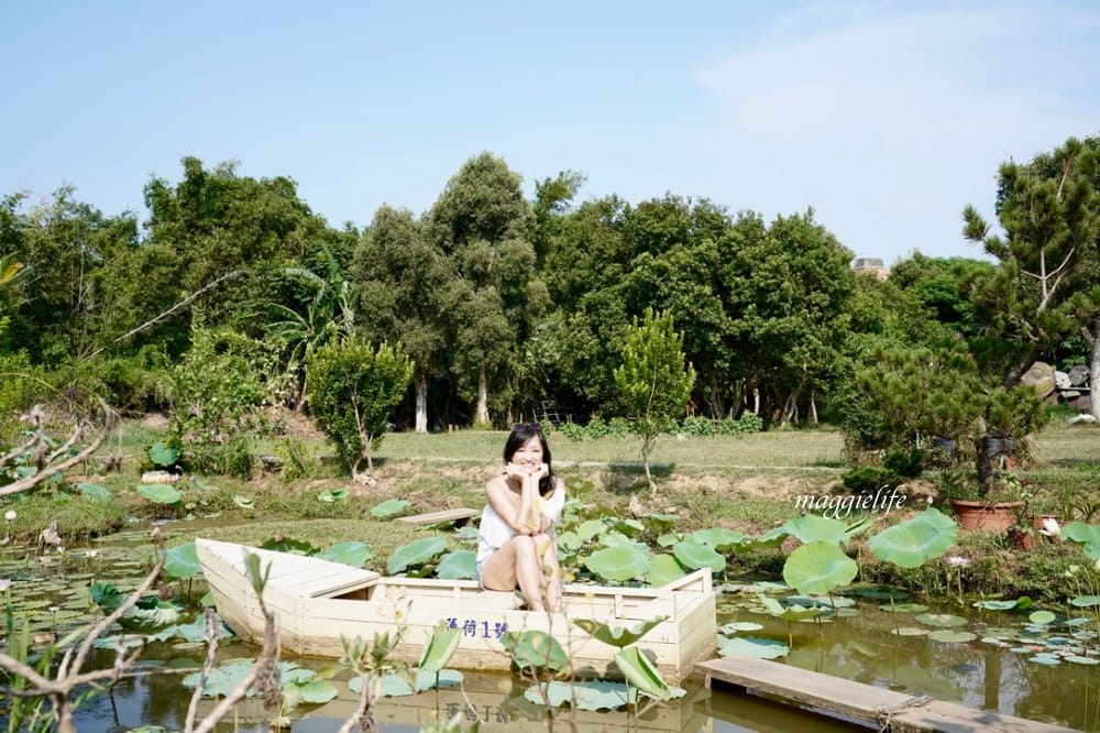 桃園觀音景點，蓮荷園休閒農場，賞蓮花坐大王蓮當拇指公主，盪鞦韆，搭小木船超多美拍場景，還可以吃蓮子冰！